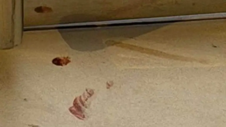 La sangre en el portal del n&uacute;mero 19 donde se produjo el ataque con arma blanca / HOY ARAG&Oacute;N