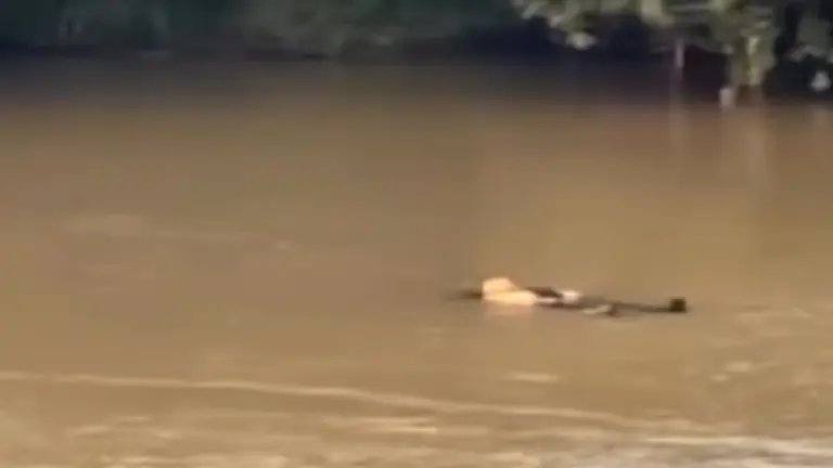 Un hombre en el r&iacute;o Ebro en la postura de 'hacerse el muerto' fue rescatado / HOY ARAG&Oacute;N