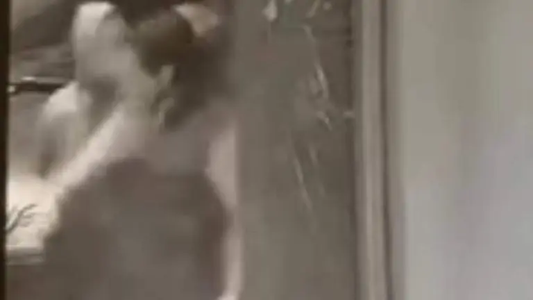 Imagen del v&iacute;deo en el que se ve parcialmente la cara de uno de los ladrones/P.N.