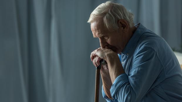 El plan 'Cine Senior'