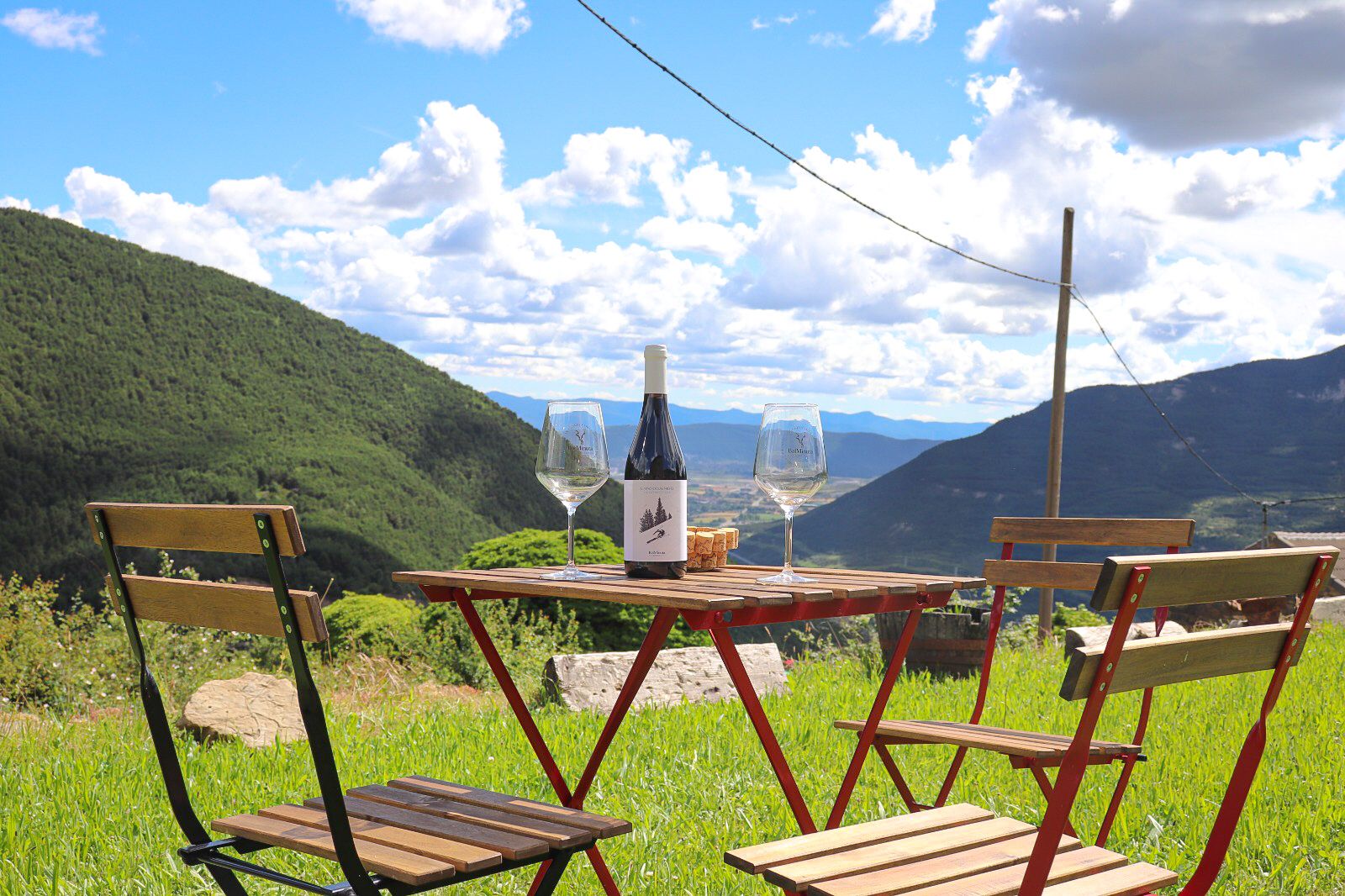Visita bodega Pirineo