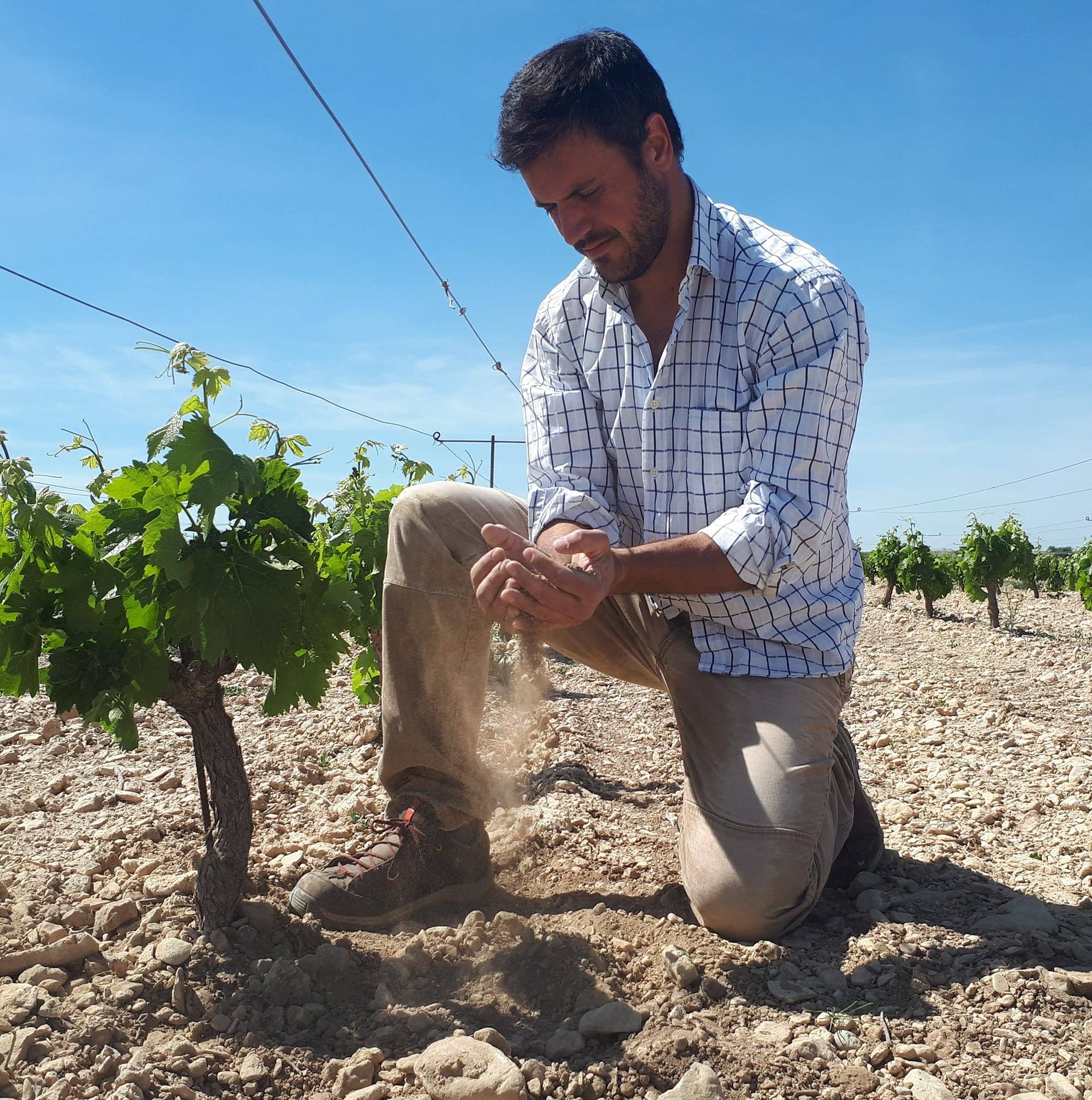 Vino de Monegros