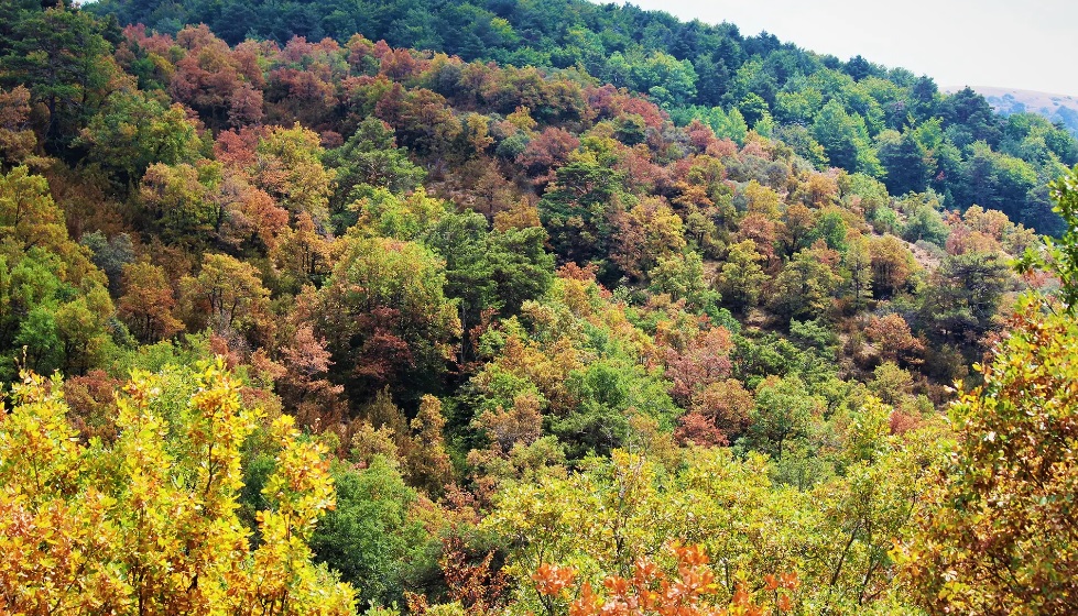 Otoño en Aragón
