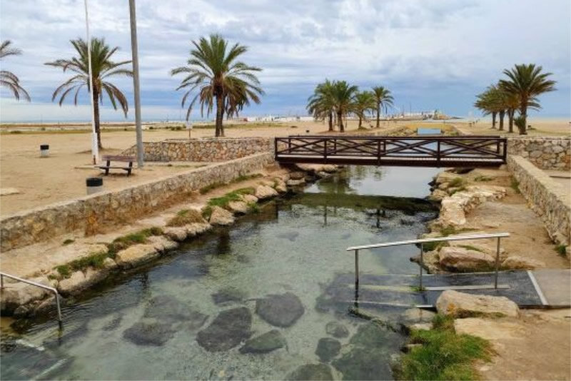 MANANTIAL L’ESTANY I EL RIUET (COMARRUGA, TARRAGONA)