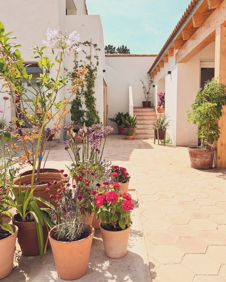 El patio de Casa Botero