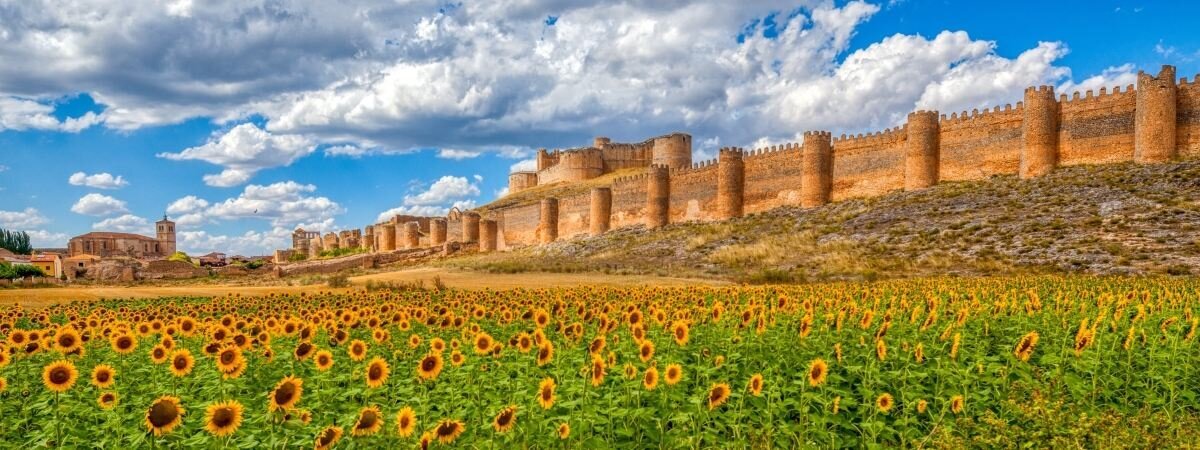 Castillo Berlanga de Duero