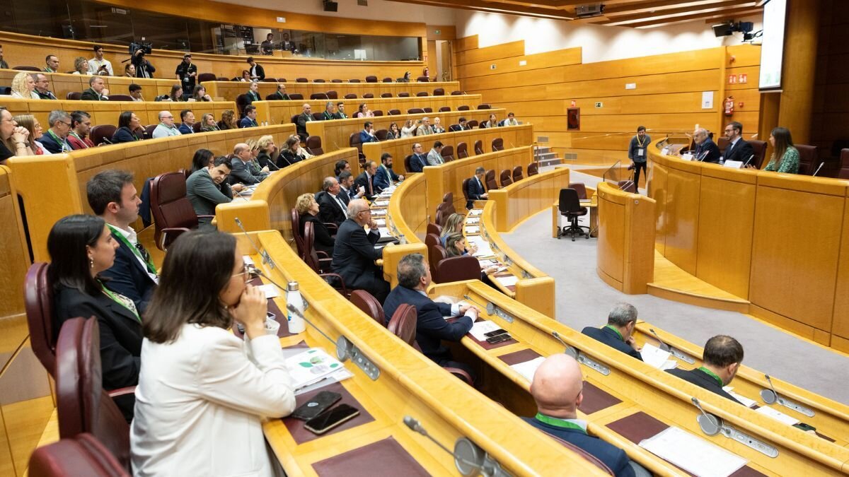 Jornada organizada por ANAIP en el Senado.