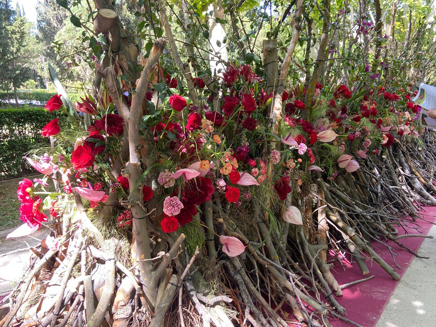 Exposición floral de Carles J. Fontanillas en la calle Isabel Zapata Marín. /HA