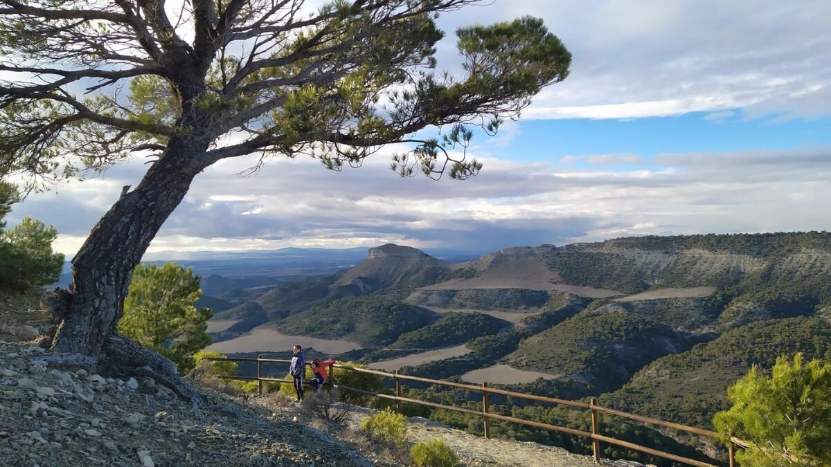 Vistas desde el Santuario de Sancho Abarca, en Tauste. / BETTY GARCÍA