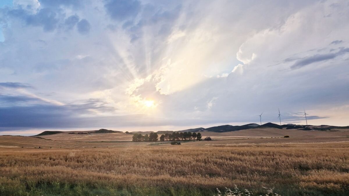 Cooperativas Agroalimentarias de Aragón.