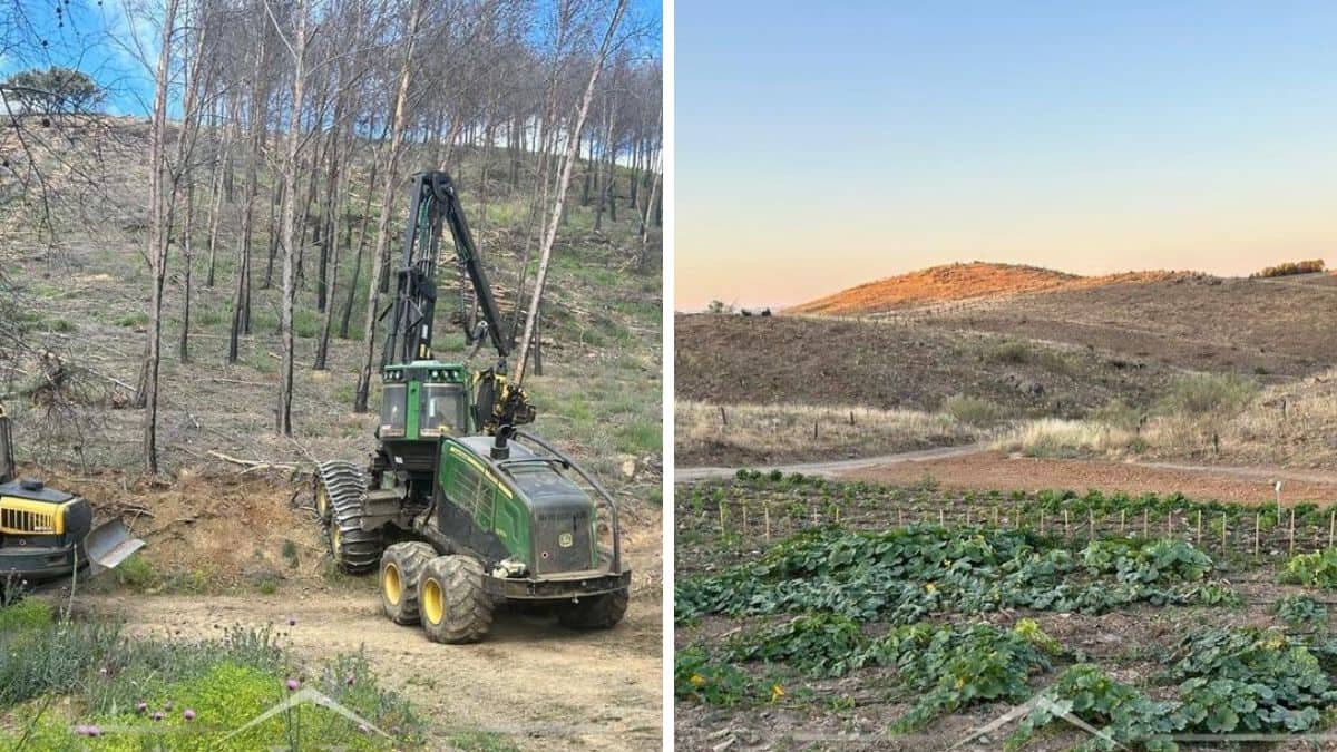 Terreno de la finca / Luxury Estate