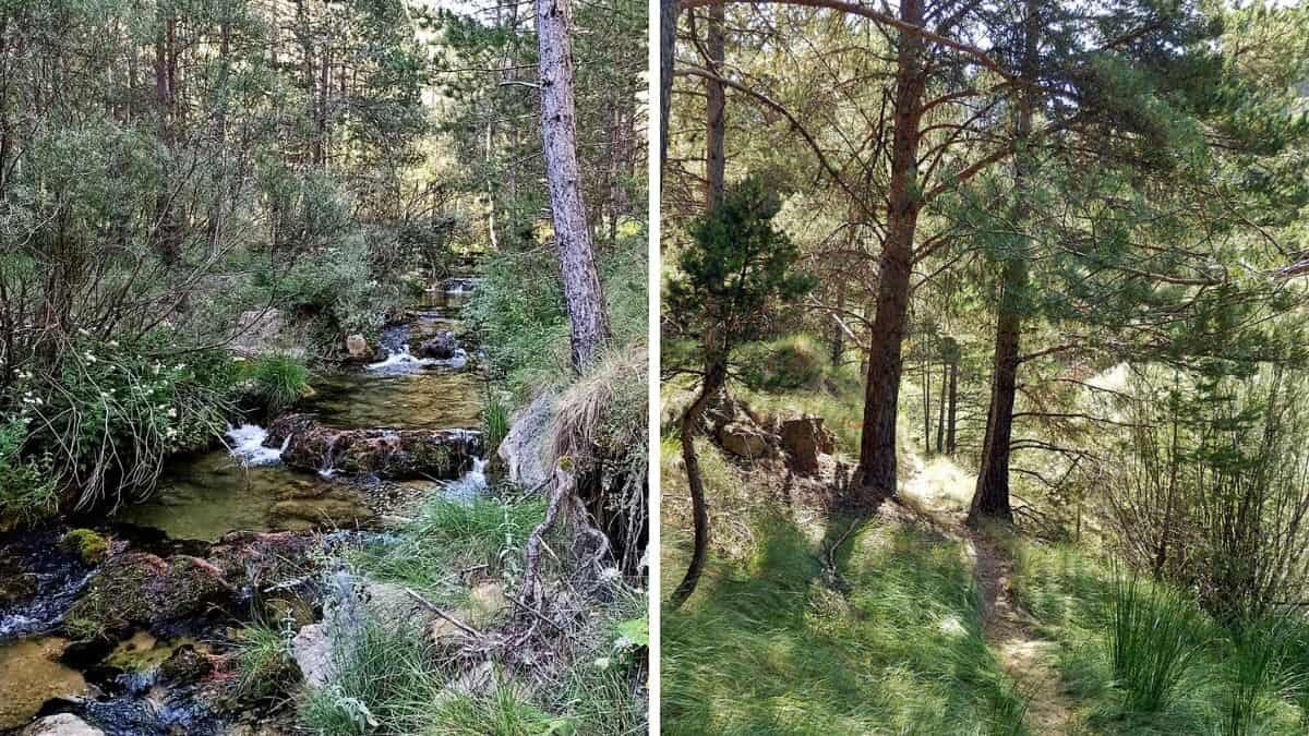 Partes de la ruta hacia la poza de Linares de Mora / Vía Wikiloc