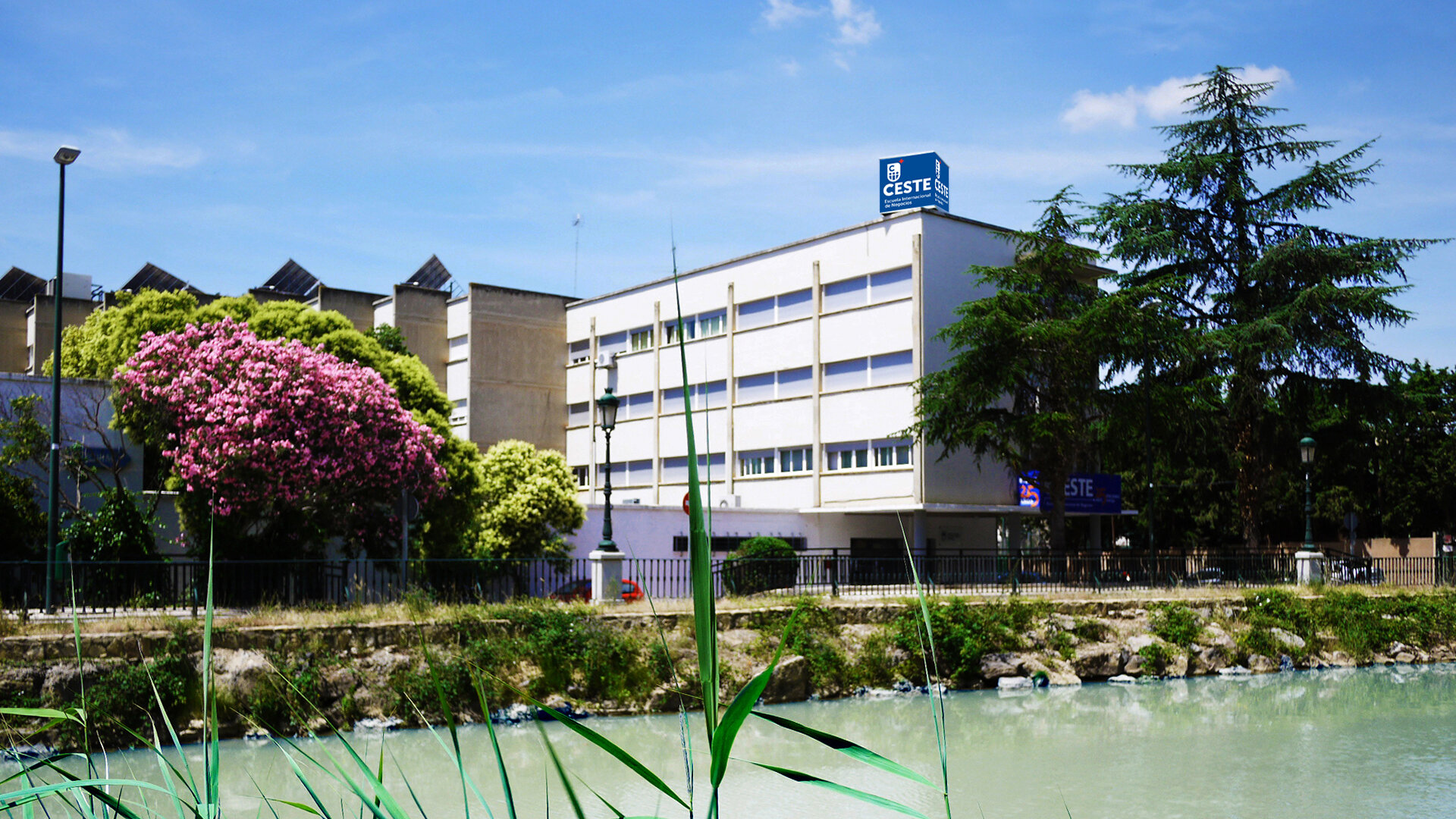 Centro de estudios CESTE