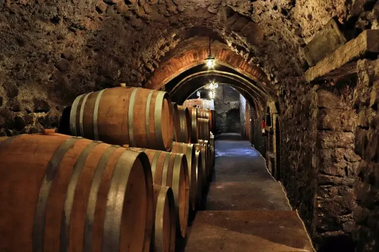 Las 'famosas' cuevas de Bodegas Frontonio / BF