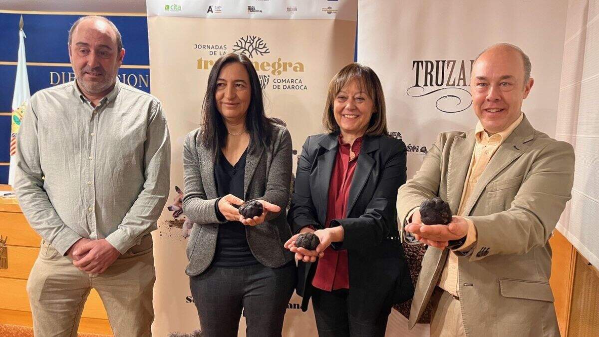Presentación de las VIII Jornadas de la Trufa Negra de la Comarca Campo de Daroca. / DPZ