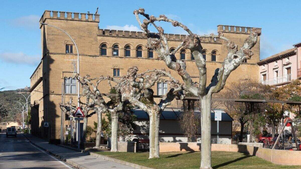 Palacio de los Marqueses de Ayerbe. / AYTO. AYERBE