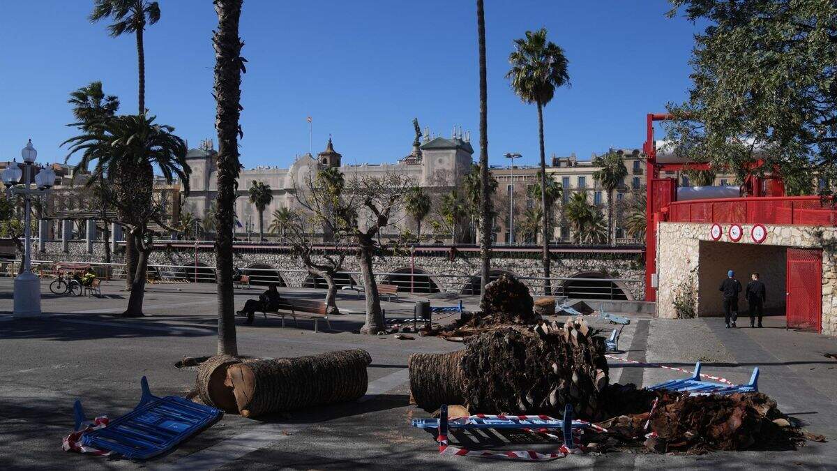 Destrozos por el temporal de viento en Barcelona. / EUROPA PRESS
