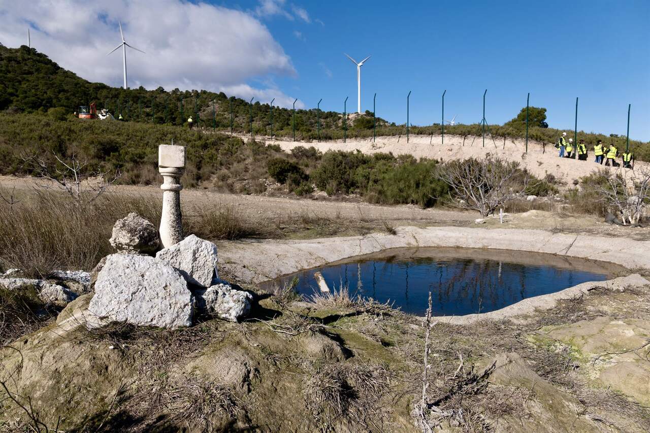 La zona seleccionada para la reintroducción abarca 27.500 hectáreas en la cuenca del Huerva ./ FABIÁN SIMÓN/GOBIERNO DE ARAGÓN