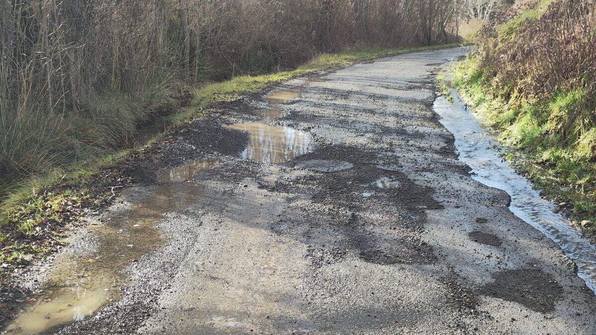 Carretera de acceso a Lasieso (Huesca). / LOURDES LANUZA