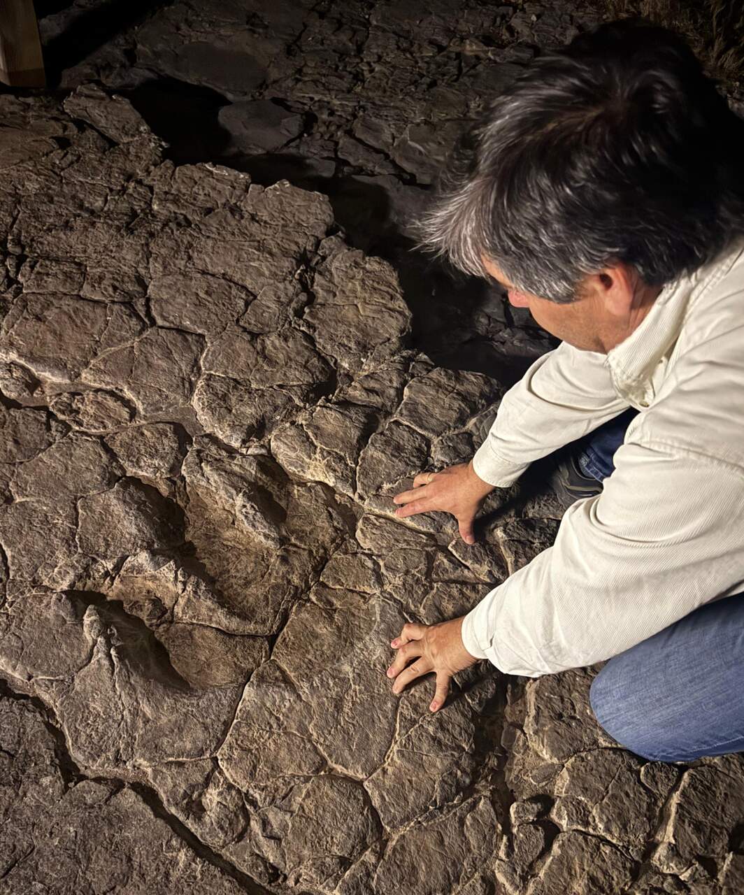 Iberosauripus grandis en el yacimiento “El Castellar, cuyo productor fue un dinosaurio carnívoro megalosáurido de gran tamaño, en El Castellar (Teruel).