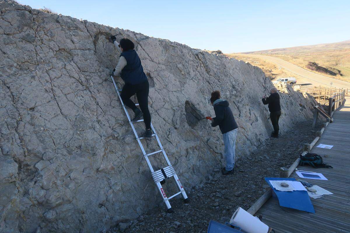 Equipo multidisciplinar trabajando en la metodología del remarcado de las huellas en el yacimiento “Ababuj” en Ababuj (Teruel).