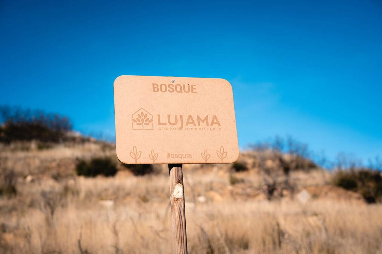 Bosque de LUJAMA en Luesia (Zaragoza). / LUJAMA